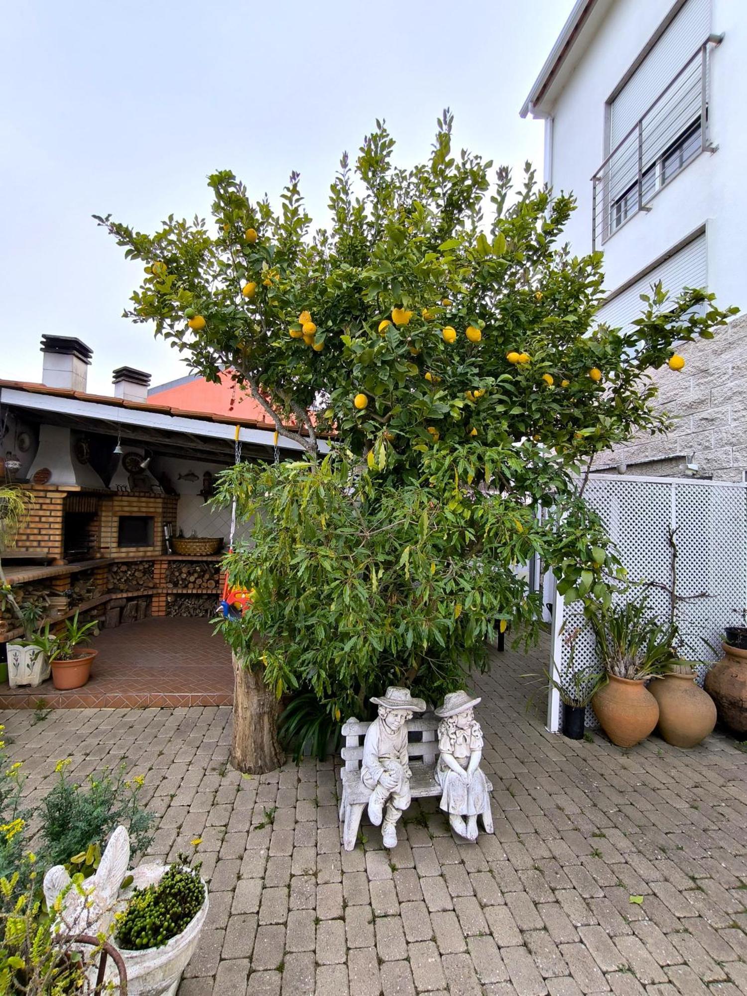 The Sun House Appartement Santa Iria de Azoia Buitenkant foto